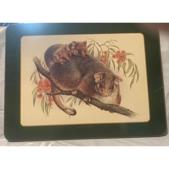 Ashdene of Australia 6 Australian Wildlife Place Mats Cork Back Kids Daycare Fun - Picture 5 of 7